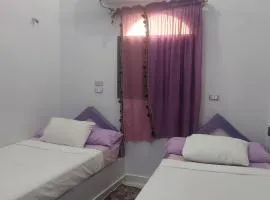 Abo Tamem Guest House