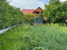 Vila Boema, гостевой дом в городе Вишеу-де-Жос