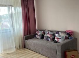 Apartament centru, pet-friendly hotel in Râmnicu Vâlcea