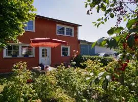 zentral aber ruhig, Terrasse mit viel Grün - strandnahes Ferienhaus Luki