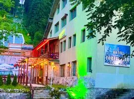 Hotel Forest Star on the Ski Slope