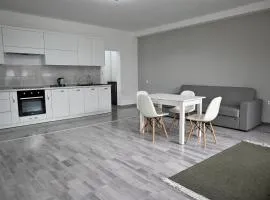 Bright and cozy apartment nr. 1