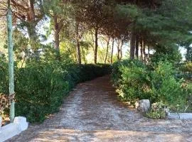 Casa dei Nonni by Briciole di Gusto - 3000mq di relax in giardino a 1500m dal mare