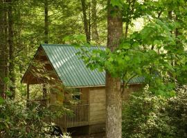 Holly Nest a Cozy Cabin Getaway near Gatlinburg: Cosby şehrinde bir dağ evi