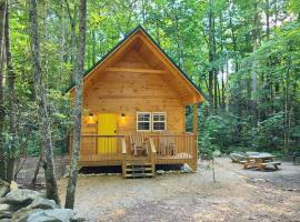 Laurel Haven a Modern Cabin Retreat near Gatlinburg – domek górski w mieście Cosby