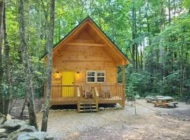 Laurel Haven a Modern Cabin Retreat near Gatlinburg