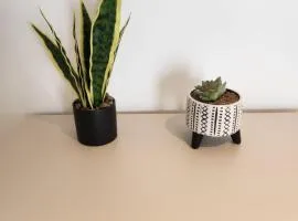 Sparrow & City Pad 5