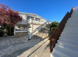 Emko Apartmens Vir