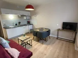 LA Marmotte ensoleillé centre ville 15mn LIORAN