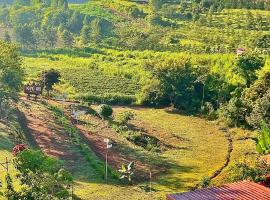 บ้านสุขอรุณ เขาค้อ Baan Sook A Roon KhaoKho, hotel in Khao Kho