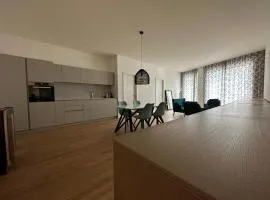 Grand Appartement Lumineux - STELLA Loft - À deux pas du Lac Léman