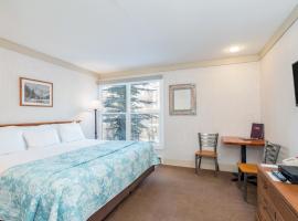 Mountainside Inn 210 Hotel Room, hotel v destinaci Telluride
