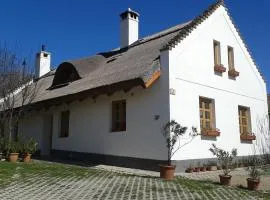 Mézes-Kuckó