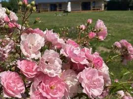 Bursztynowy Zakątek