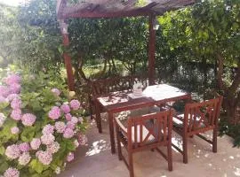 Apartman Borik