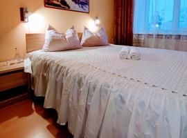 Perfect flat city centre, vacation rental in Sigulda