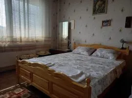 Vintage Vibes - Family Flat in a Quiet Area