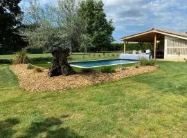 Superbe maison en pierre proche Bordeaux &piscine