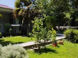 Vila Katerina Dojran