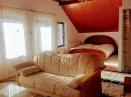 Studio 45 sqm with mountain view