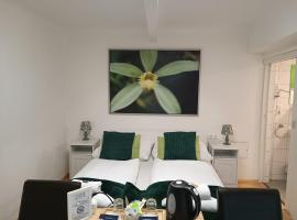 Cityhotel Junger Fuchs, hotel a Salisburgo, Altstadt