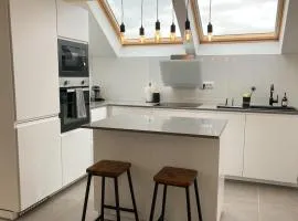 Agro Lux Apartment - Milenović