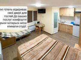 Petite Chambre, hotel with parking in Velyatyn