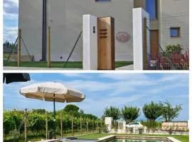 Il Vigneto