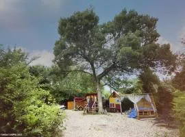 La Roulotte Cavalière, au cœur d'une manade en Camargue