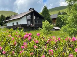 Heidi-Alm Lodge, hotel with parking in Falkertsee