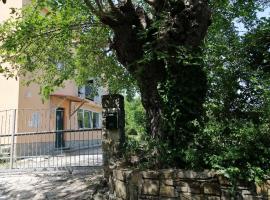 MURVA, pet-friendly hotel in Koper