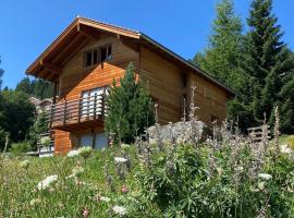 La Pourvoirie - 4 Vallées - Thyon-Les Collons, 10 pers, ski à 200 m, 4 parkings, vue fantastique !, hotel em Hérémence