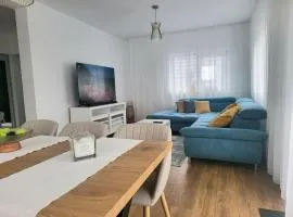 Sunset House spacious 3 bedrooms Baciu Cluj