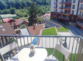 BELLE VIEW SINAIA – hotel z udogodnieniami dla niepełnosprawnych w mieście Sinaia