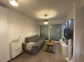 Appartement centre/Gare Proche de Genève