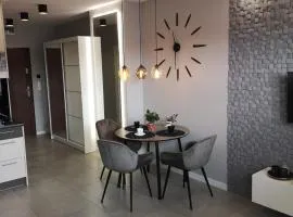 Apartament GREY Świnoujście bezpłatny parking