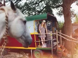 Authentique roulotte en Camargue