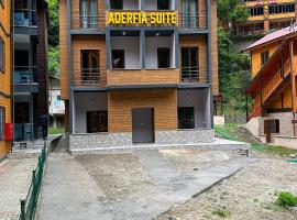 Aderfia Suite, apartment in Uzungol