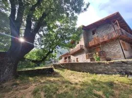 La casa del Gigante Frassino