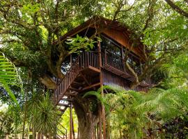 Hotel Heliconias Nature Inn & Hot Springs