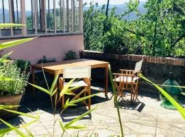 Artists' holiday home near Cinque Terre - 4 bedrooms, large terrace, great views