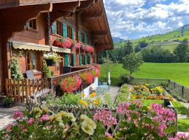 Alpenchalet Spiher-Studio und ein weiteres Schlafzimmer, hotel u gradu Gšad