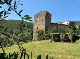 Torre medievale Balducci, villa a Vicopisano