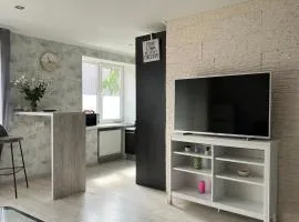 Cozy apartment