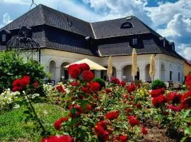 Kaštieľ Košťany