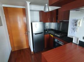 Santiago Skyline Suites、サンティアゴのバケーションレンタル