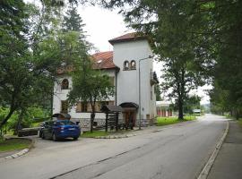 Garni Hotel Vila Drina, three-star hotel in Perućac