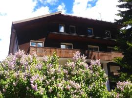 Hotel Rosa Serenella, hotel en Bardonecchia