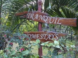 Tranquil Homestays, hotel di Naro Moru