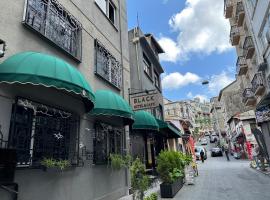 Black Art Otel, hotel in Istanbul